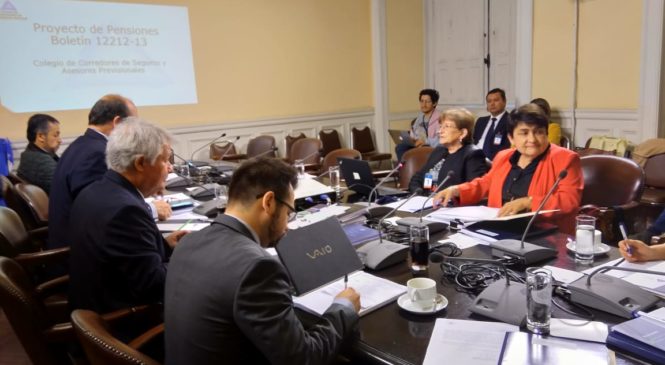 El Colegio de Corredores de Seguros & Asesores Previsionales, participó en una mesa de trabajo en la Cámara de Diputados