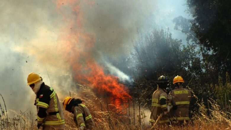 Aseguradoras reportan US$ 37 millones en siniestros por incendios en el sur