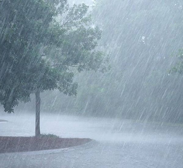 Aseguradores estiman en hasta US$ 100 millones pagos por lluvias